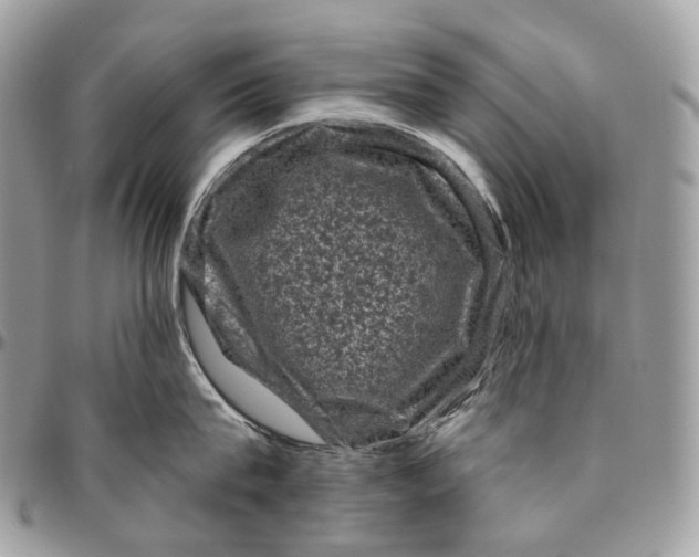 X0000096410815200802141539