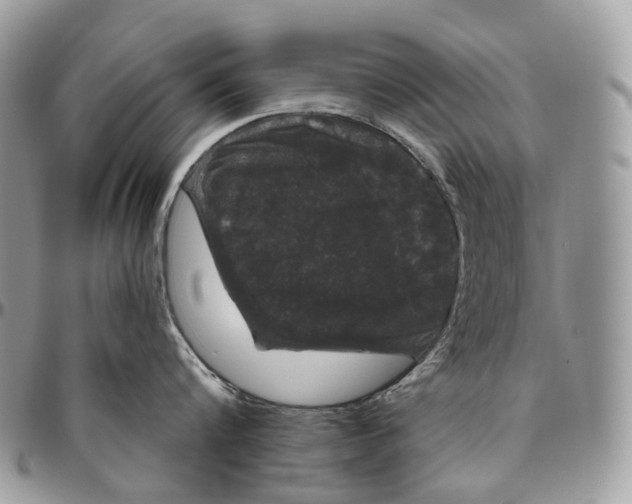 X0000096410816200802141539