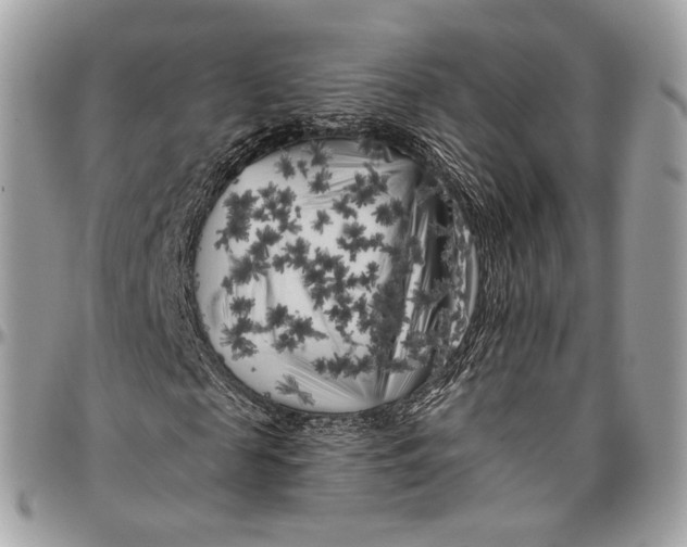 X0000096410817200802141538