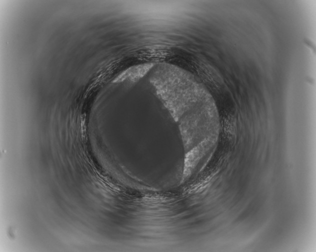 X0000096410818200802141538