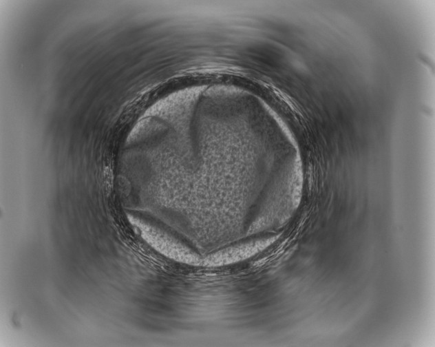 X0000096410821200802141538