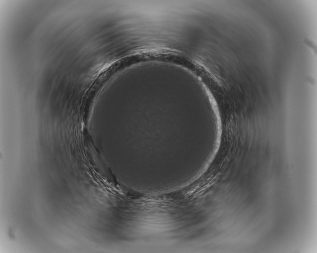 X0000096410822200802141538