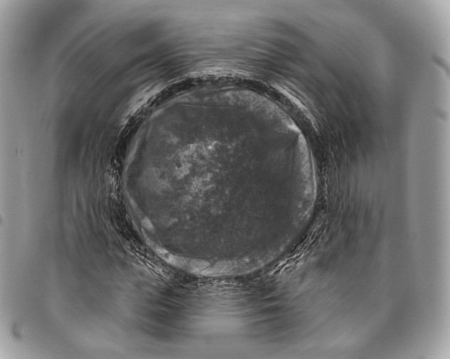 X0000096410823200802141538