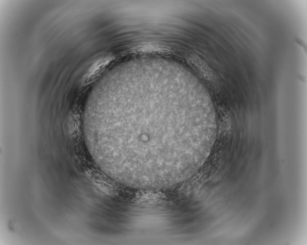 X0000096410824200802141539