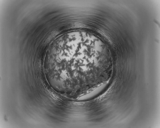 X0000096410825200802141539