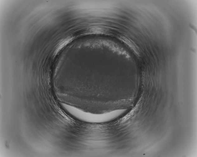 X0000096410826200802141539