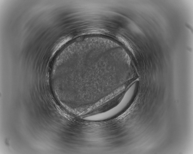 X0000096410827200802141539