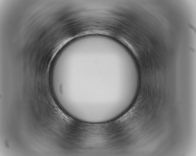 X0000096410828200802141539