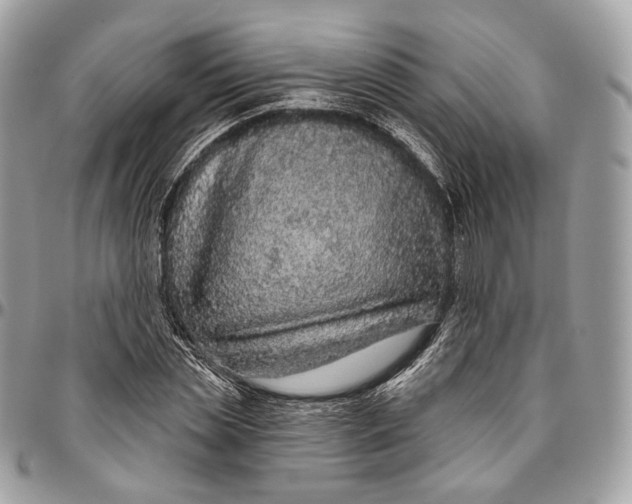 X0000096410829200802141539