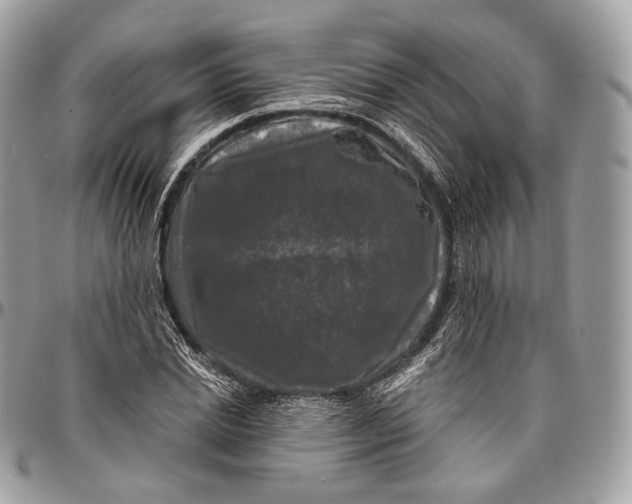 X0000096410830200802141539