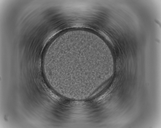 X0000096410831200802141539