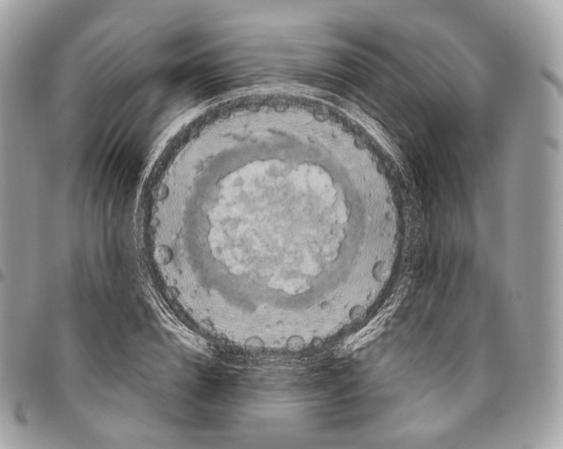 X0000096410832200802141539