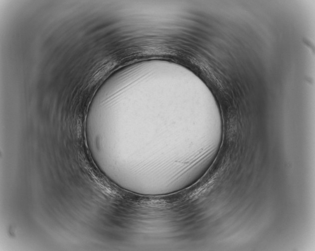 X0000096410833200802141539