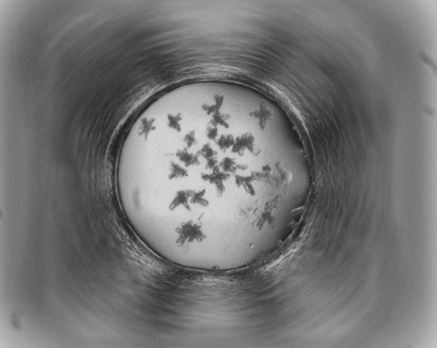 X0000096410835200802141539