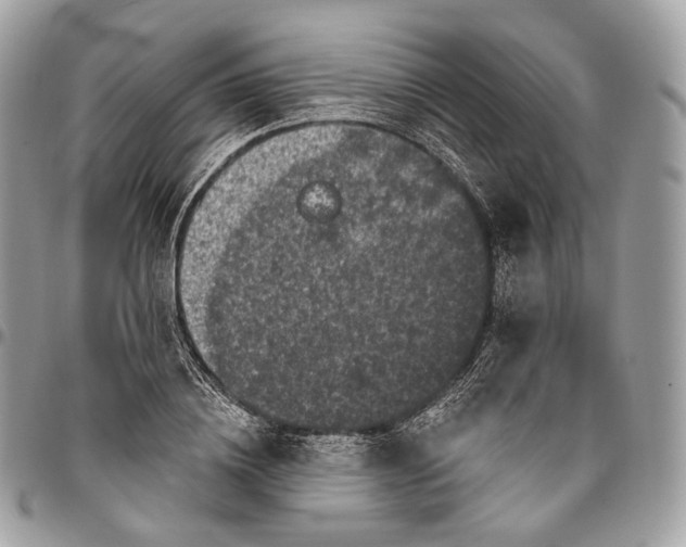 X0000096410836200802141539