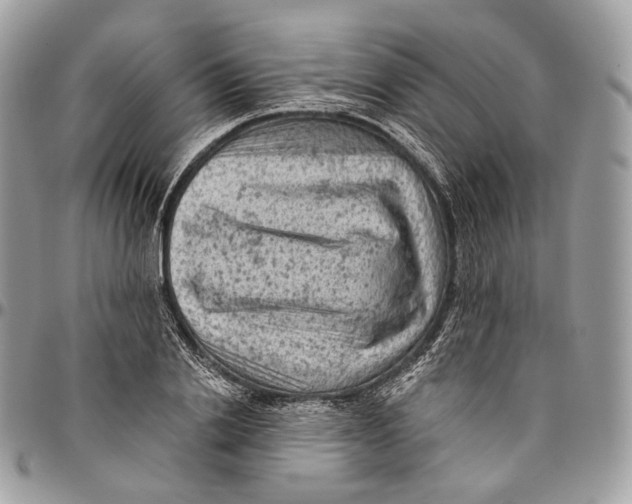 X0000096410838200802141539