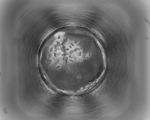 X0000096410839200802141539