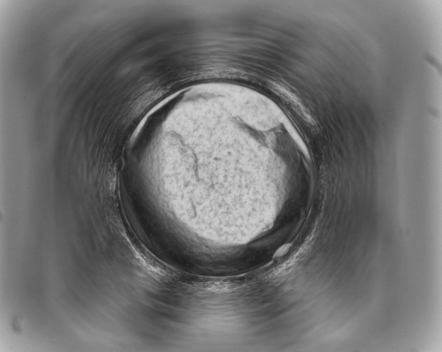 X0000096410841200802141539