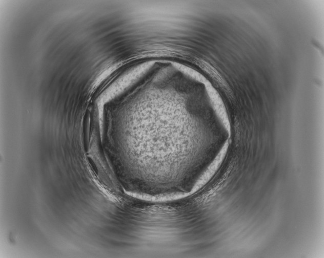 X0000096410842200802141539