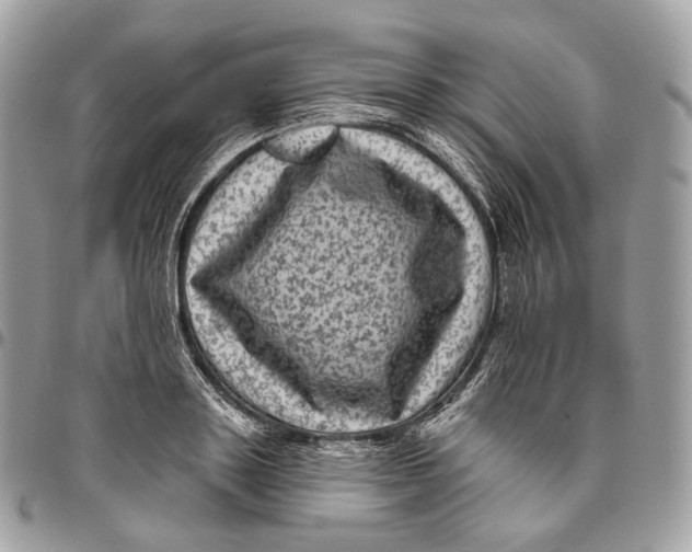 X0000096410843200802141539