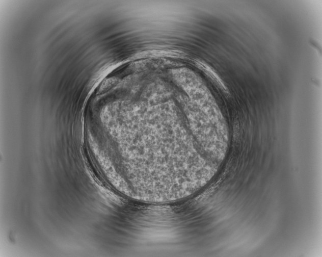 X0000096410844200802141539