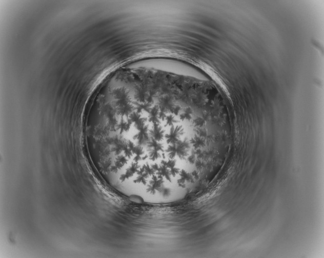 X0000096410845200802141539