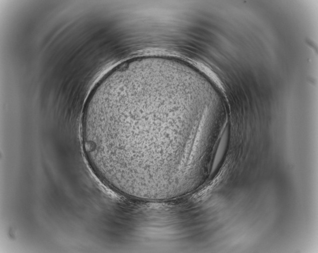 X0000096410847200802141539