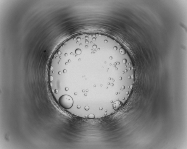 X0000096410848200802141539