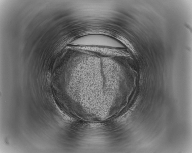 X0000096410849200802141539