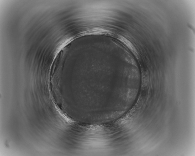 X0000096410850200802141539