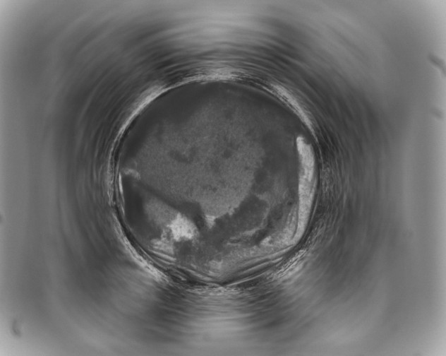 X0000096410851200802141539