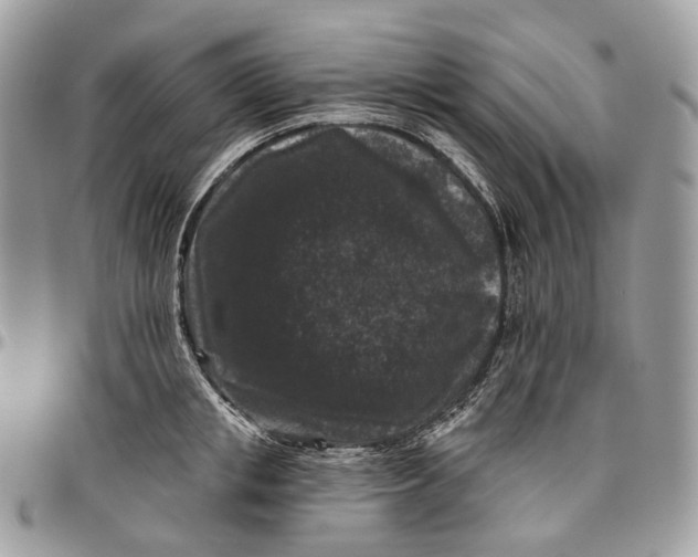 X0000096410853200802141539