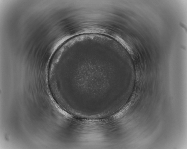 X0000096410854200802141539