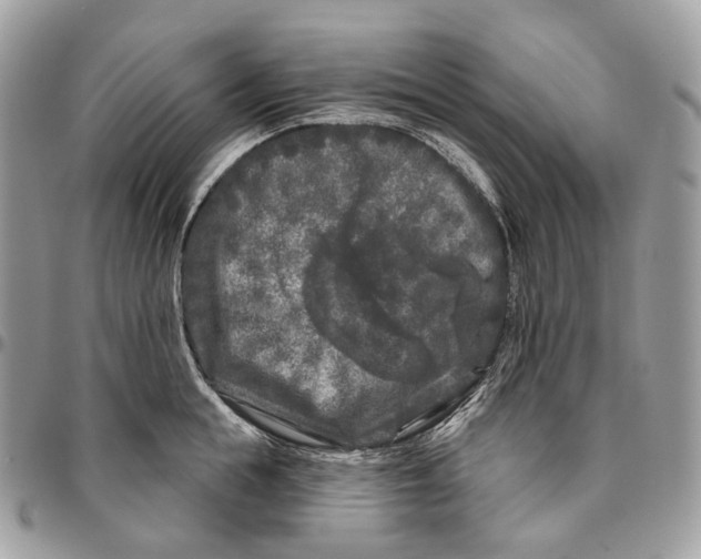 X0000096410855200802141539