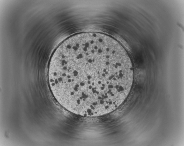 X0000096410856200802141539