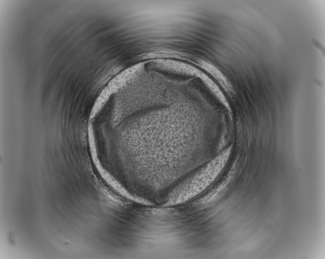 X0000096410857200802141539