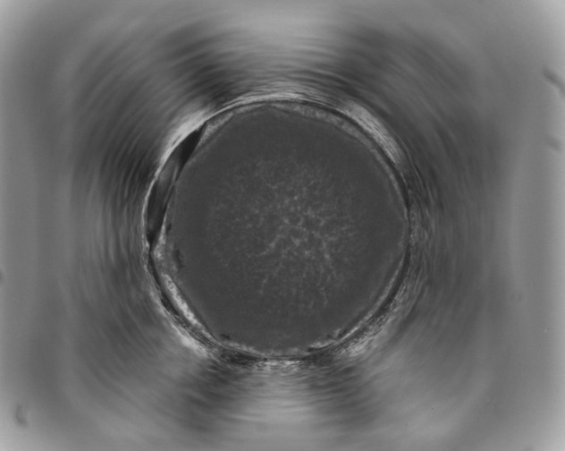 X0000096410858200802141539