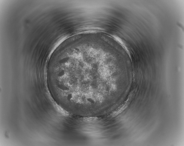 X0000096410859200802141539