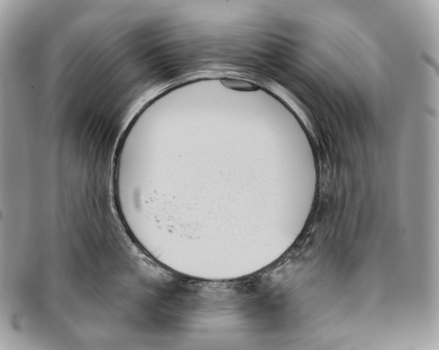 X0000096410861200802141539