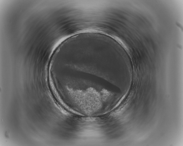 X0000096410862200802141539