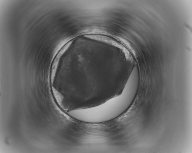 X0000096410863200802141539