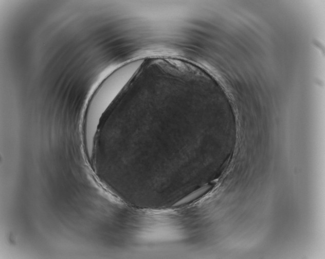 X0000096410864200802141539