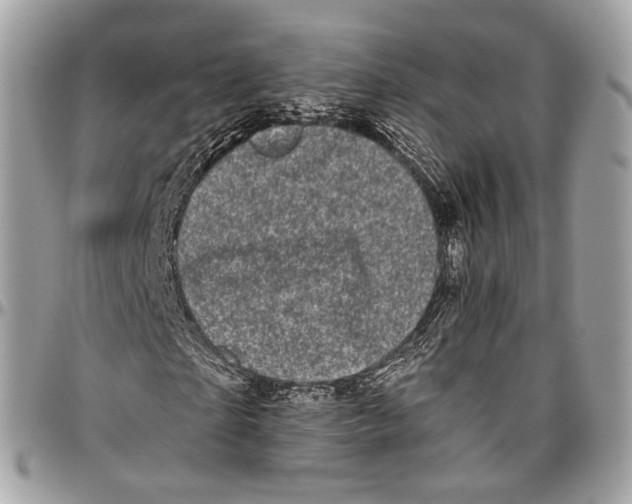 X0000096410865200802141538