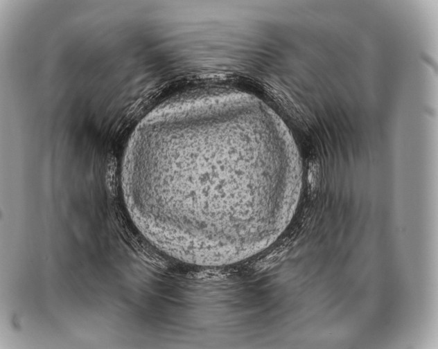 X0000096410867200802141538