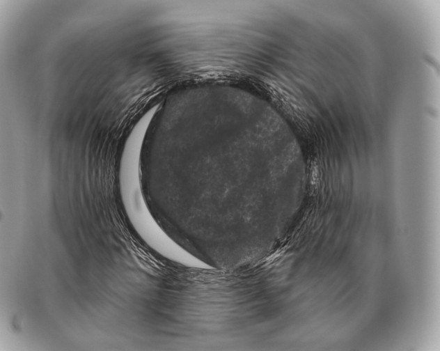 X0000096410868200802141538