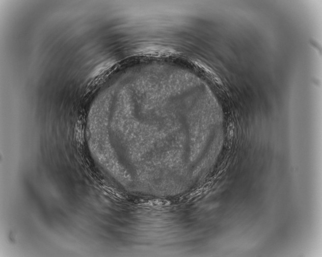 X0000096410869200802141538