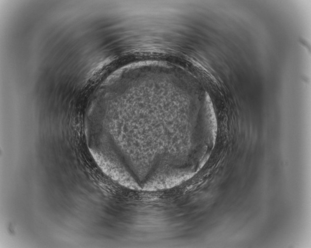 X0000096410870200802141538