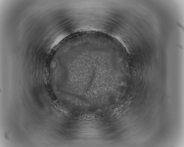 X0000096410871200802141538