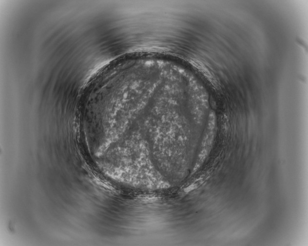 X0000096410872200802141538