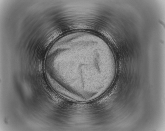 X0000096410873200802141538